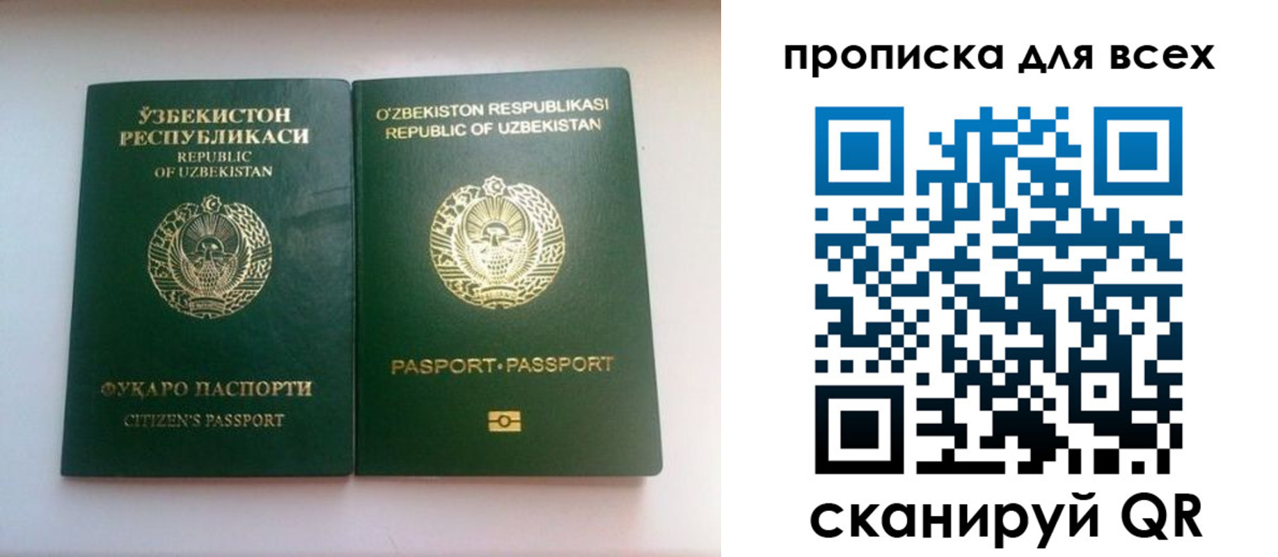прописка для школы в Талдоме